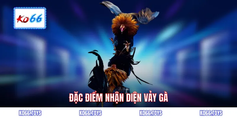 Đặc điểm nhận diện vảy gà