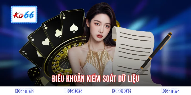 Điều khoản kiểm soát dữ liệu