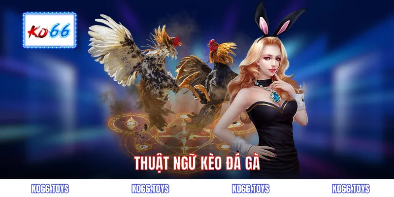  Thuật ngữ kèo đá gà